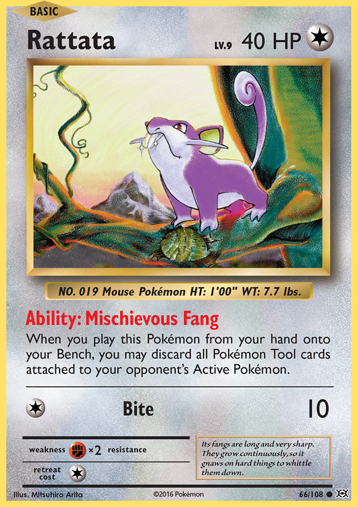 Rattata 66/108 XY Evolutions Common Pokemon Card TCG – Kawaii Collector