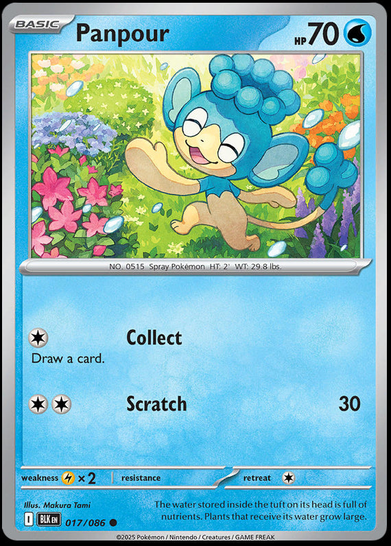 Panpour (17/86) Scarlet and Violet Black Bolt Common Pokemon Card TCG