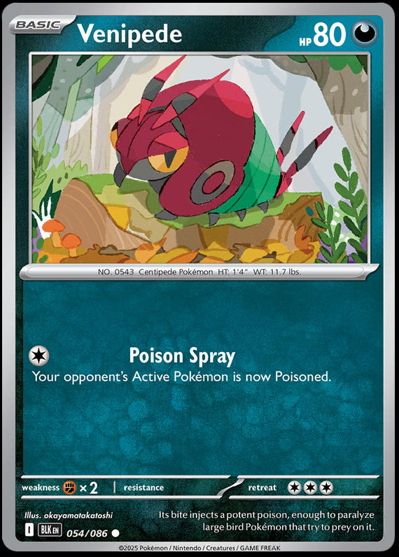 Venipede (54/86) Scarlet and Violet Black Bolt Reverse Holo Common Pokemon Card TCG