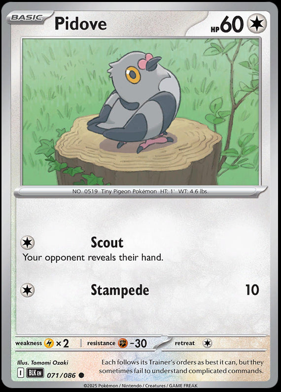 Pidove (71/86) Scarlet and Violet Black Bolt Reverse Holo Common Pokemon Card TCG