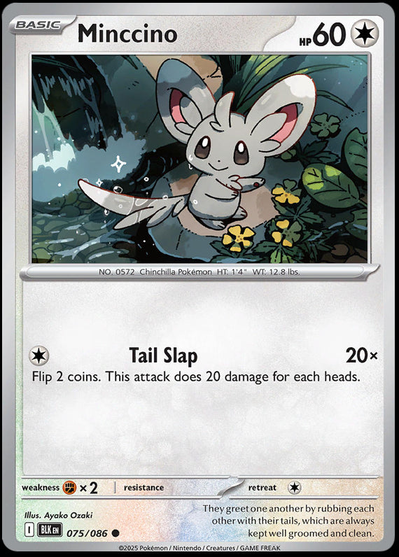 Minccino (75/86) Scarlet and Violet Black Bolt Reverse Holo Common Pokemon Card TCG