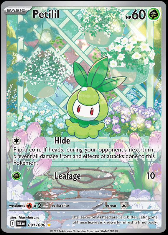 Petilil (91/86) Scarlet and Violet Black Bolt Illustration Rare Pokemon Card TCG