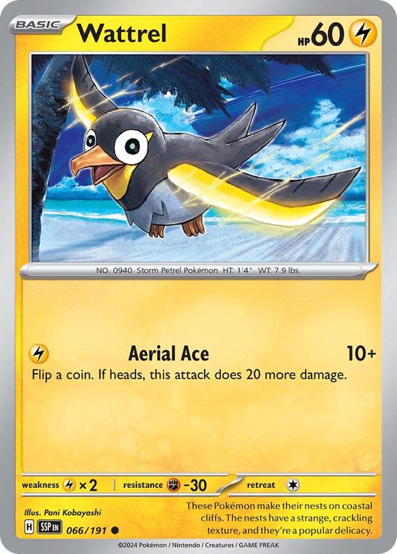 Wattrel (66/191) SV Surging Sparks Common Pokemon Card TCG
