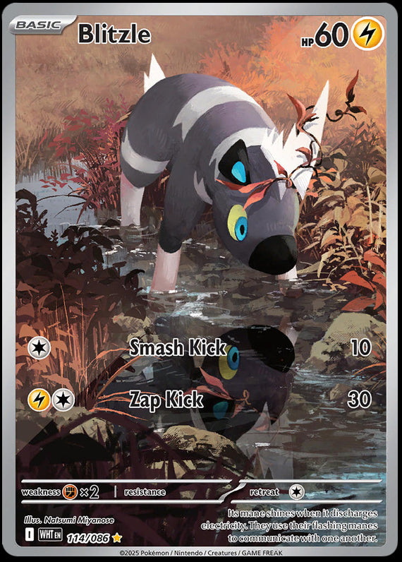 Blitzle (114/86) Scarlet and Violet White Flare Illustration Rare Pokemon Card TCG