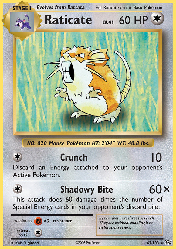 Raticate 67/108 XY Evolutions Rare Pokemon Card TCG